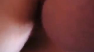 Gliela lecco e sditalino