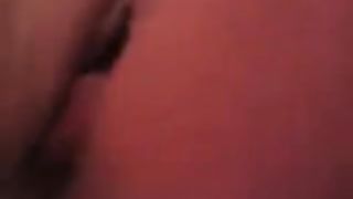 Gliela lecco e sditalino