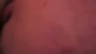 Gliela lecco e sditalino