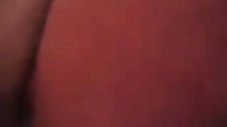 Gliela lecco e sditalino