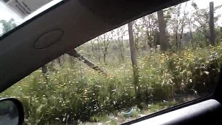 Dopo che ti ho fatto vedere il culo ANDIAMO A SCOPA' ?