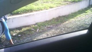 Quanto ? 20 ! E IL CULO ? 30 ! Fa vedere...