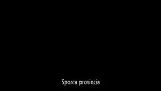 Sporca provincia