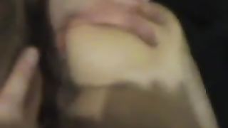 Guardate il bull come apre il culo di mia moglie