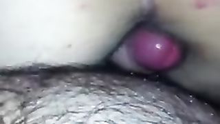 Anteprima del video: A pecorina