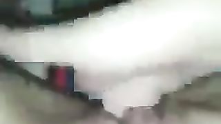 Il gallo canta e io ho voglia