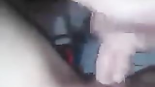 Il gallo canta e io ho voglia