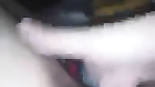 Il gallo canta e io ho voglia