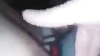 Il gallo canta e io ho voglia