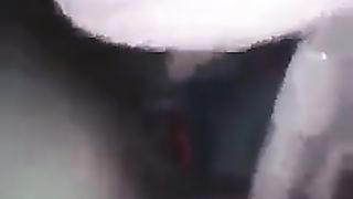 Il gallo canta e io ho voglia