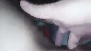 Il gallo canta e io ho voglia