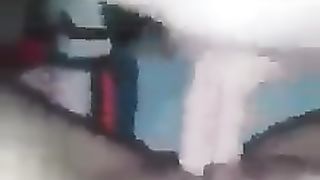 Il gallo canta e io ho voglia