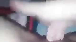 Il gallo canta e io ho voglia