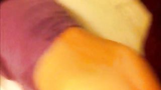 UNA CAGNA in albergo...