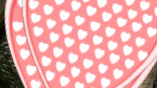 Le mie nuove autoreggenti