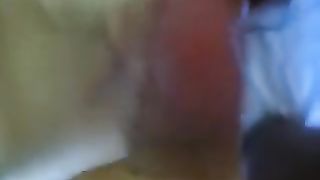 Spremuta di cazzo per Stella