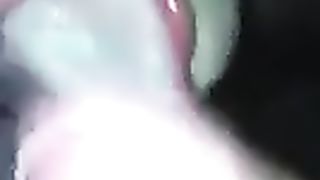 Brava SEI PROPRIO UNA ZOCCOLA DI MERDA !!!