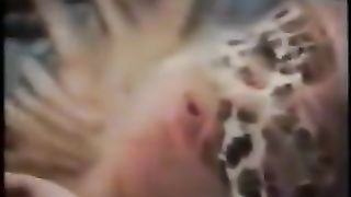 Mia moglie insultata, sottomessa ed umiliata dal Bull