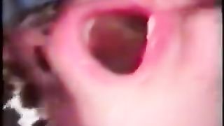 Mia moglie insultata, sottomessa ed umiliata dal Bull