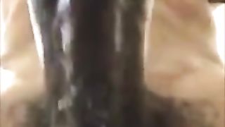 Oh sì SONO LA TUA TROIA...INCULAMI ANCORA !!!