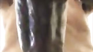 Oh sì SONO LA TUA TROIA...INCULAMI ANCORA !!!