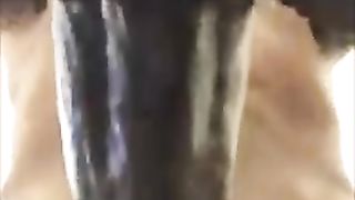 Oh sì SONO LA TUA TROIA...INCULAMI ANCORA !!!