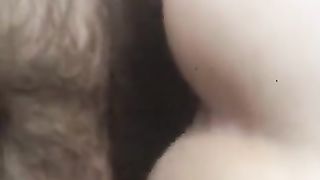 La mia tipa a pecorina in campagna