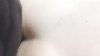 La mia tipa a pecorina in campagna