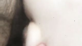 La mia tipa a pecorina in campagna