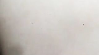 La mia tipa a pecorina in campagna