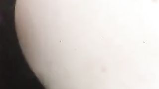 La mia tipa a pecorina in campagna