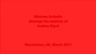 Mistress Arabella distrugge i testicoli di Andrea Diprè