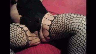 La porca nuovamente all'opera