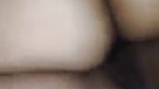 La monella/porcellina della mia compagna!!!