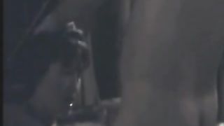 La mia signora si diverte con il suo Bull da monta