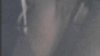 La mia signora si diverte con il suo Bull da monta