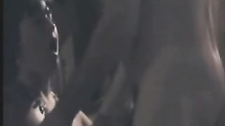 La mia signora si diverte con il suo Bull da monta