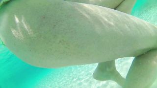 Una sbirciatina alla figa sottacqua