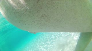 Una sbirciatina alla figa sottacqua