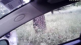 NEL CULO ? 70 euro ! FIGA ? 25 euro !