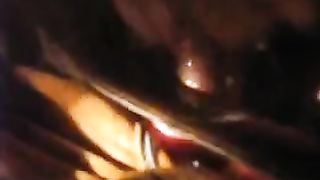 Ecco LA TROIA CHE SEI !!!