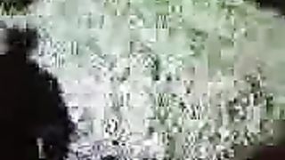 Napoletana spompina il fidanzato davanti agli amici