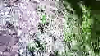 Napoletana spompina il fidanzato davanti agli amici