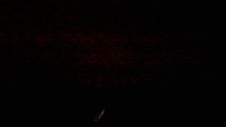 Scopata clandestina con una bella MILF