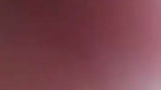 Sul Pandino Nero in autostrada...