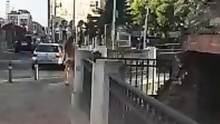 Ragazza cammina nuda in centro a Bologna