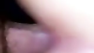 Pecora con sborrata sul culo di mia moglie a Monza