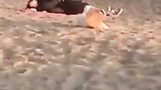 Scopano in spiaggia ad Ostia