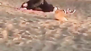 Scopano in spiaggia ad Ostia