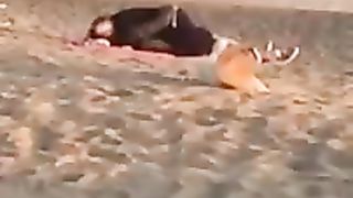 Scopano in spiaggia ad Ostia